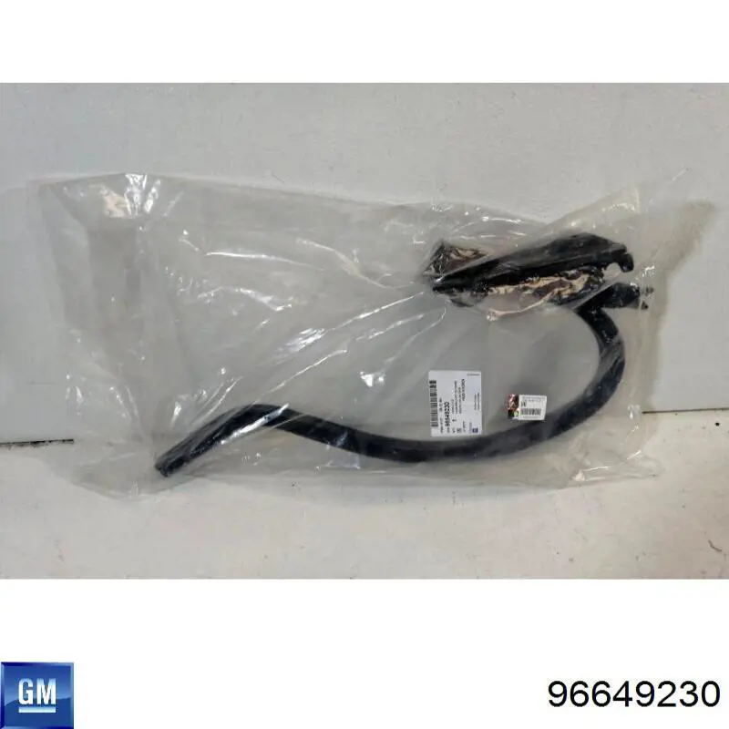 Завіса кришки багажника General Motors 96649230 ціна, від 5.49 USD