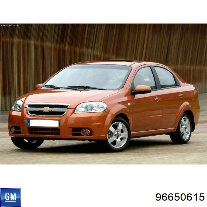Купити 96650615 General Motors Задня права фара