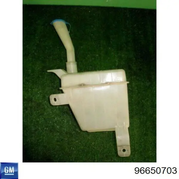 Бачок омивача лобового скла General Motors 96543077 ціна, від 13.26 USD