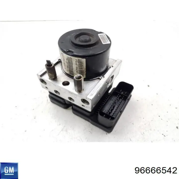 96666542 General Motors 