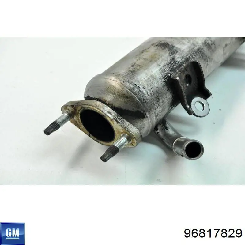 Купити 96817829 General Motors Радіатор системи EGR рециркуляції вихлопних газів