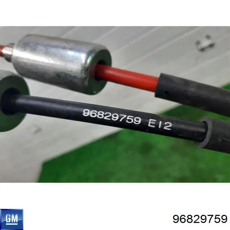 96829759 General Motors 