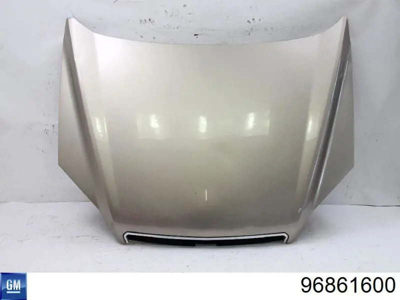 Капот General Motors 96861600 ціна, від 94.49 USD