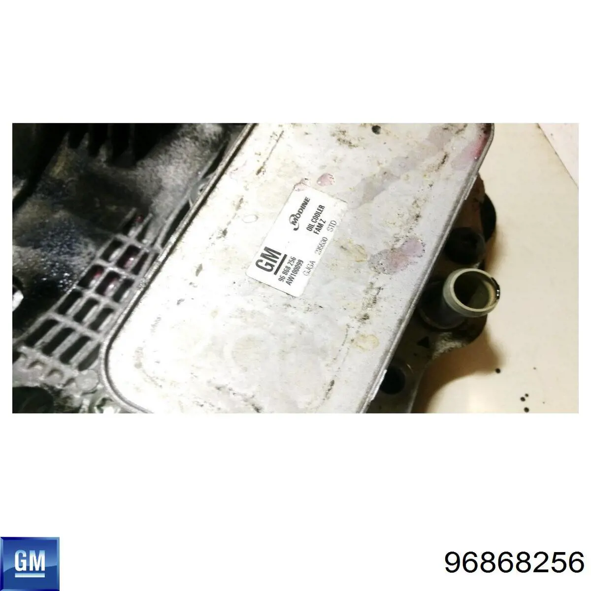 Купити 96868256 General Motors Радіатор масляний (холодильник), під фільтром