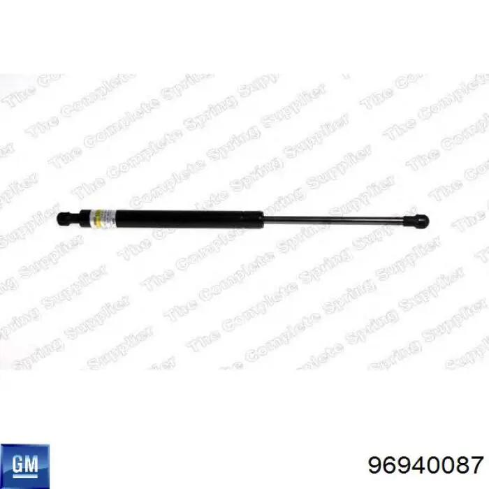 ZSW0008 Japan Parts Амортизатор кришки багажника / двері 3/5-ї задньої