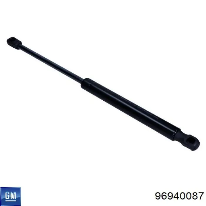 Амортизатор двері задньої Japan Parts ZSW0008 ціна, від 9.58 USD