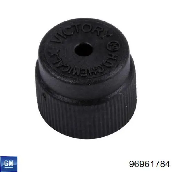 Купити 96961784 General Motors 
