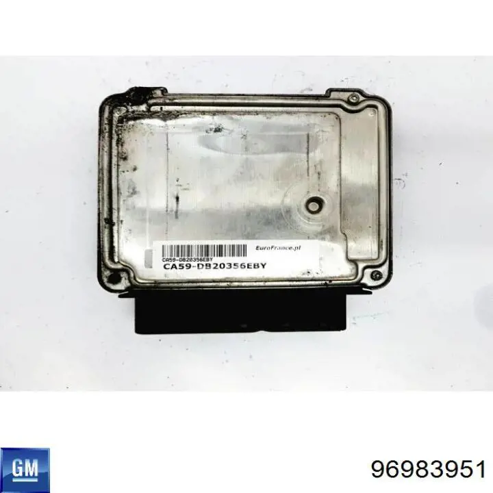 96983951 General Motors 