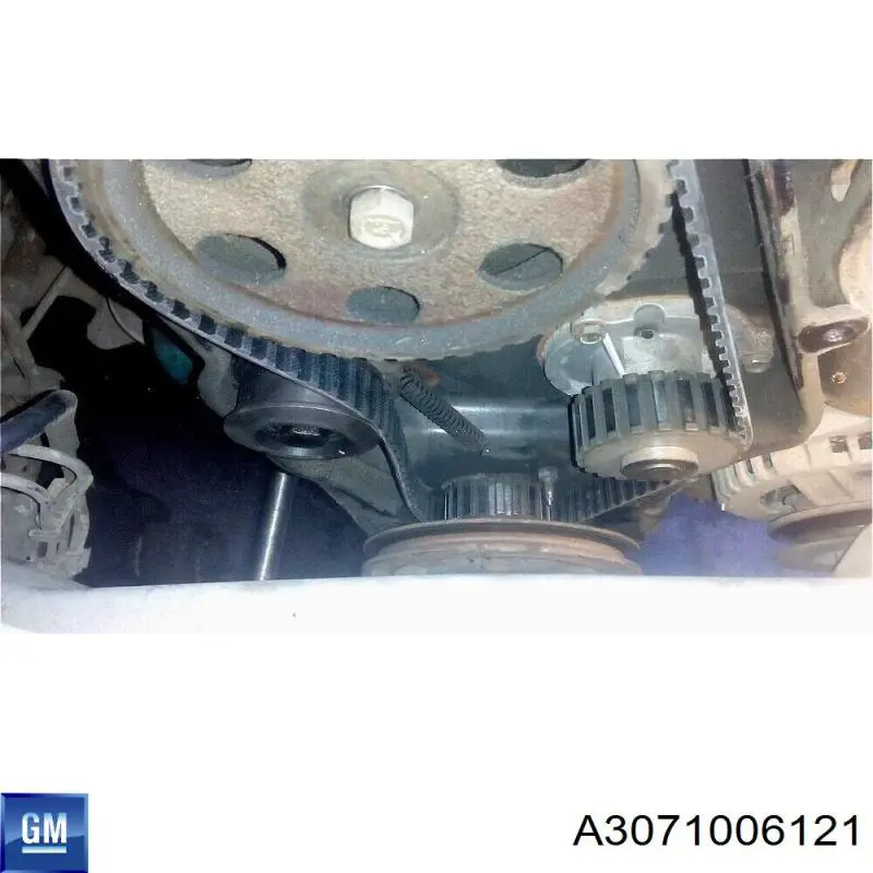 A3071006121 General Motors ролик натягувача ременя грм