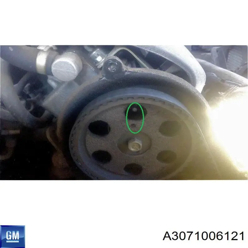 Купити A3071006121 General Motors Натяжний ролик