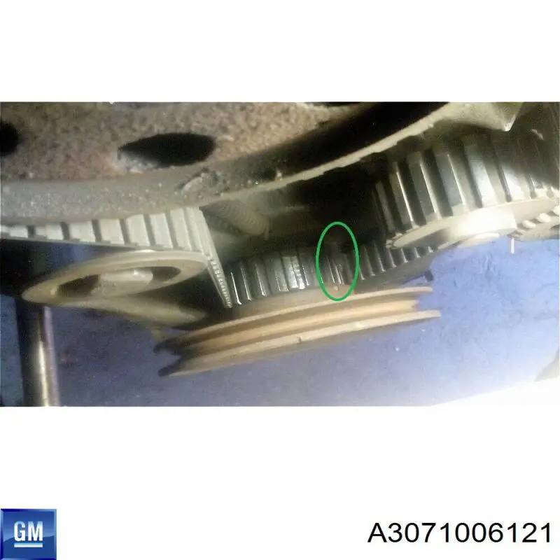 A3071006121 General Motors Ролик натягувач