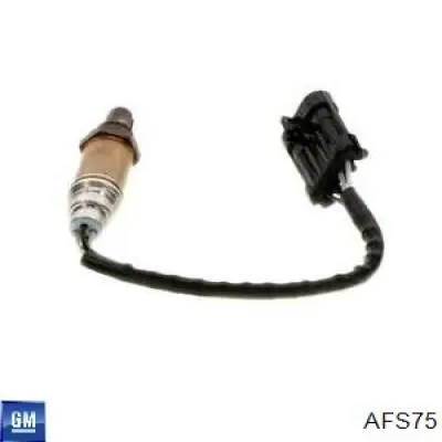 Купити AFS75 General Motors Лямбда зонд, датчик кисню