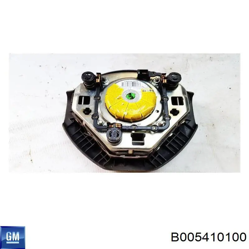 B005410100 General Motors 