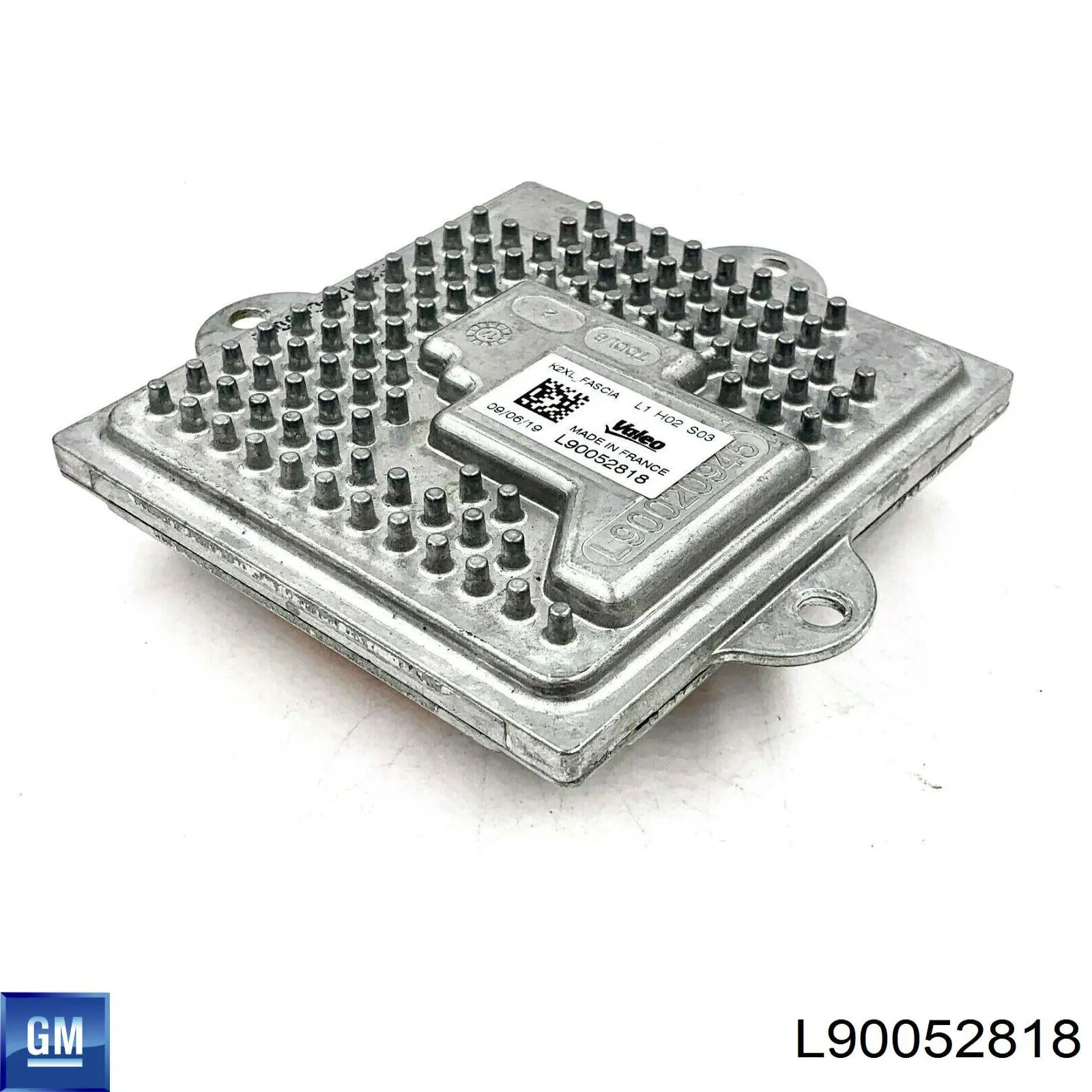 L90052818 General Motors 