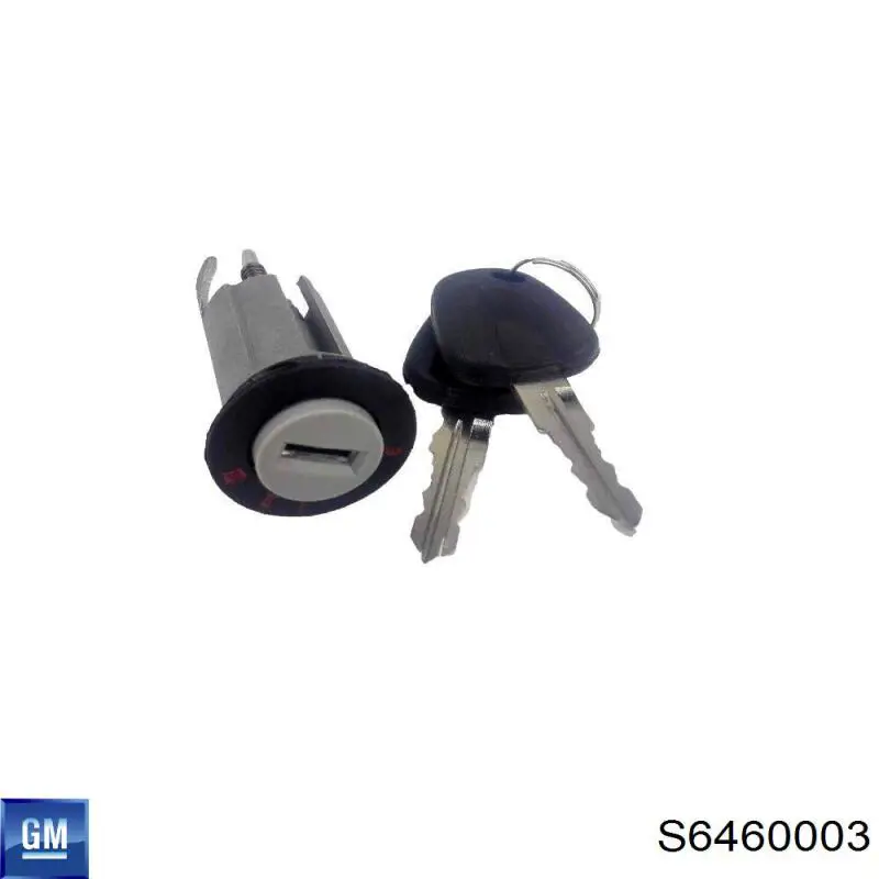S6460003 General Motors Личинка замка запалювання