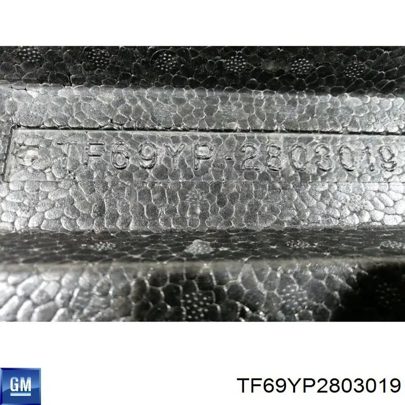 Абсорбер (наповнювач) бампера переднього TF69YP2803019 ZAZ