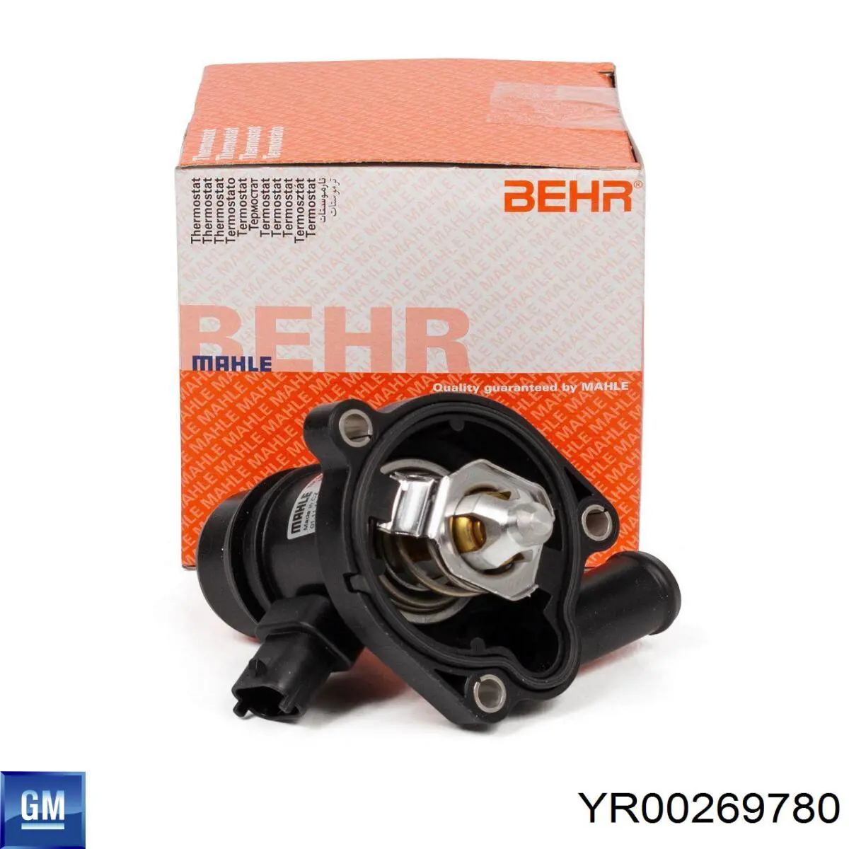 Купити YR00269780 General Motors Кришка розширювального бачка