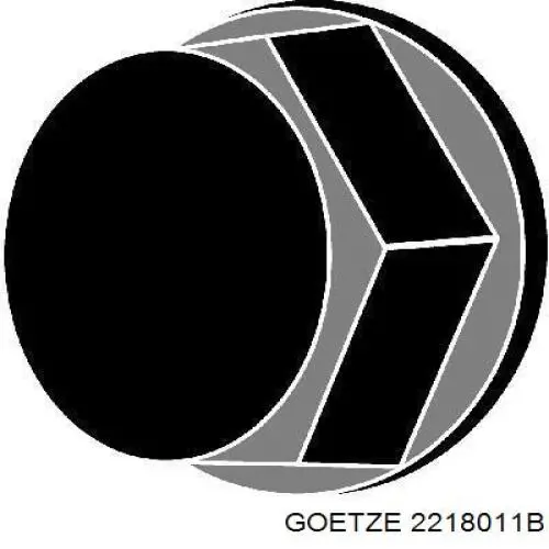 Болт головки блока циліндрів, ГБЦ 2218011B Goetze