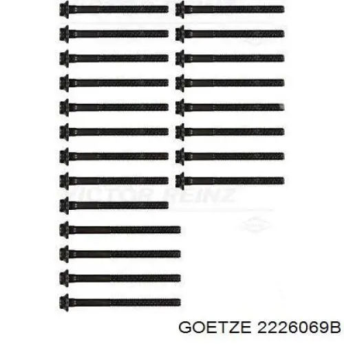 Купити 2226069B Goetze Болт гбц