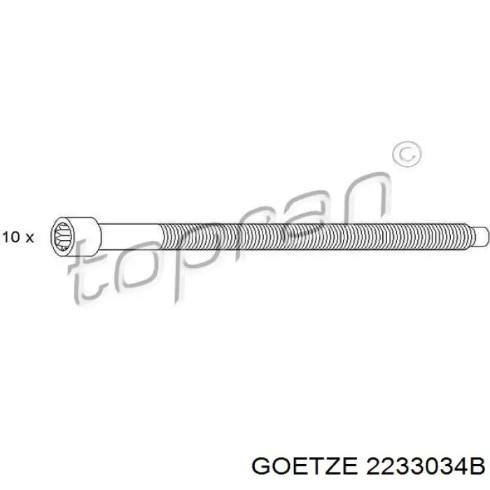 Болт головки блока циліндрів, ГБЦ 2233034B Goetze