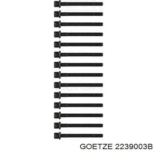 Болт головки блока циліндрів, ГБЦ Volkswagen Crafter 30-50 (2E) (Фольцваген Крафтер)