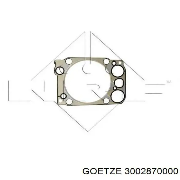 Купити 3002870000 Goetze Прокладка ГБЦ