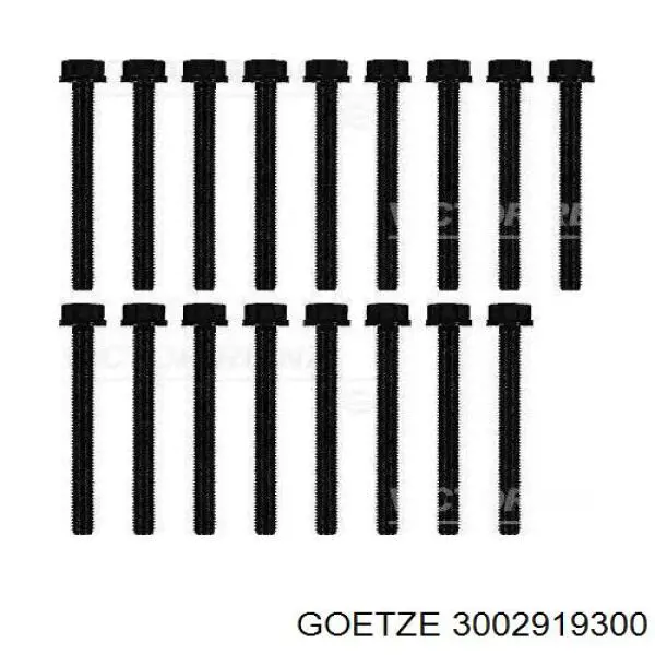 Купити 3002919300 Goetze Прокладка ГБЦ
