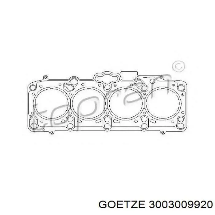 Купити 3003009920 Goetze Прокладка ГБЦ