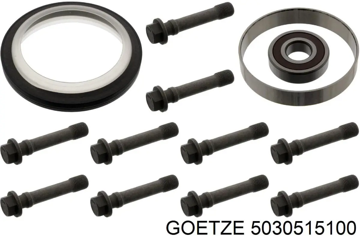 Купити 310041 Diesel Technic Сальник колінвала задній