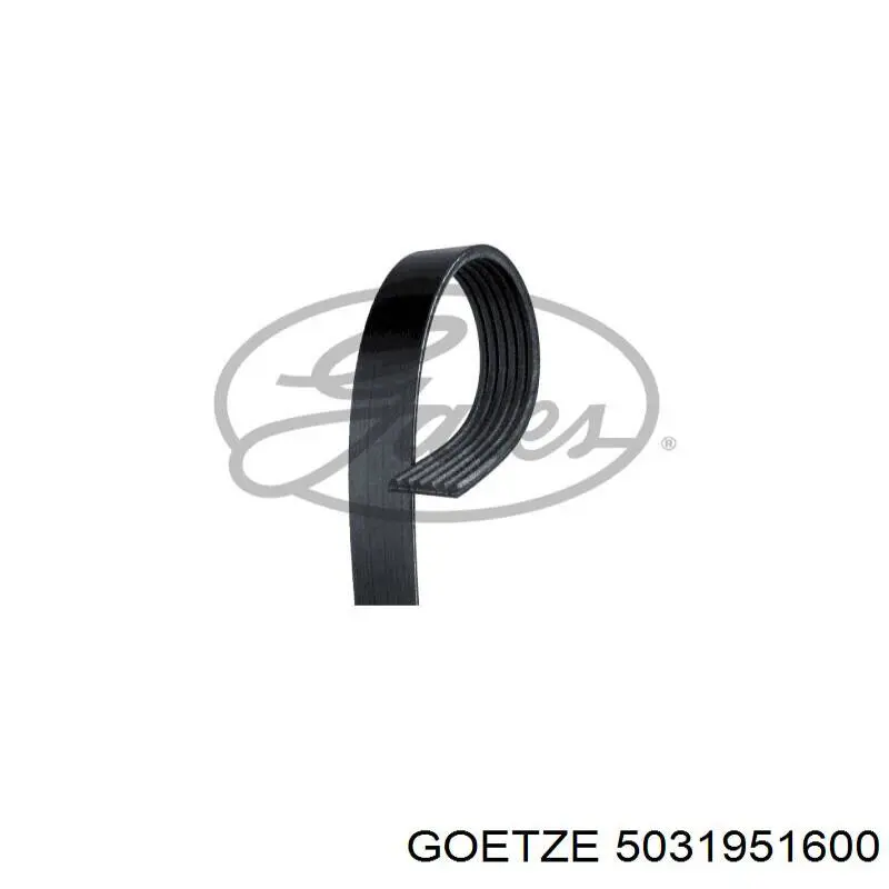 5031951600 Goetze Сальник двигуна, распредвала