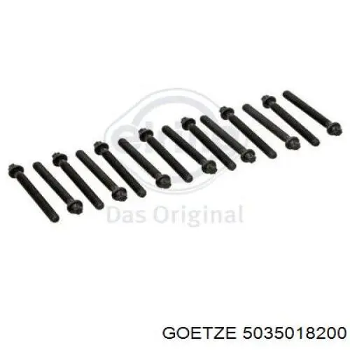 5035018200 Goetze Кільце інжектора