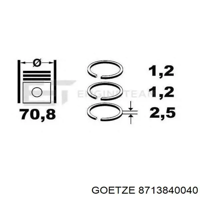 Поршень в комплекті на 1 циліндр, STD 130020000800 NE/NPR