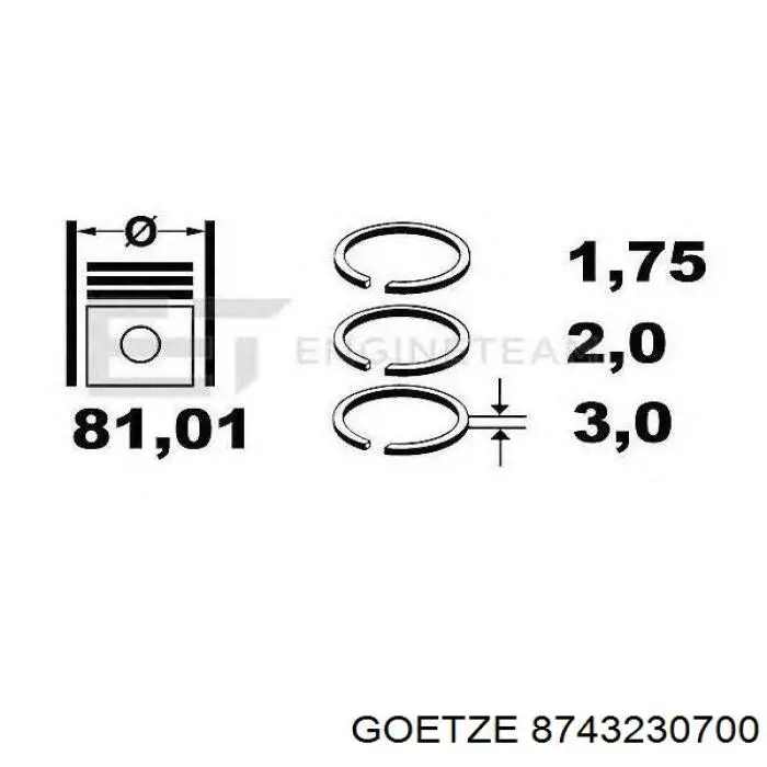 Купити 130050002621 NE/NPR Поршень в комплекті на 1 циліндр, 2-й ремонт (+0,50)