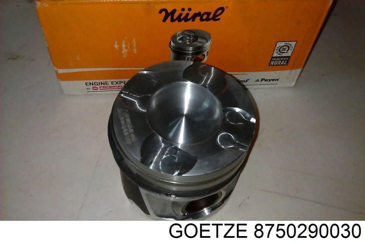 Поршень в зборі Goetze 8750290030 ціна, від 55.25 USD
