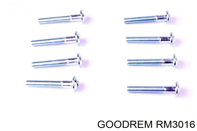 RM3016 Goodrem Дискові гальма