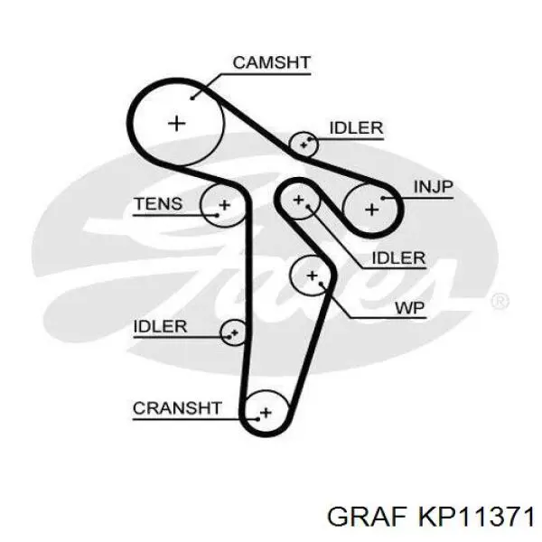 Купити KP11371 Graf ГРМ ремень
