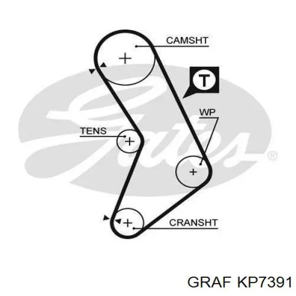 Купити KP7391 Graf ГРМ ремень
