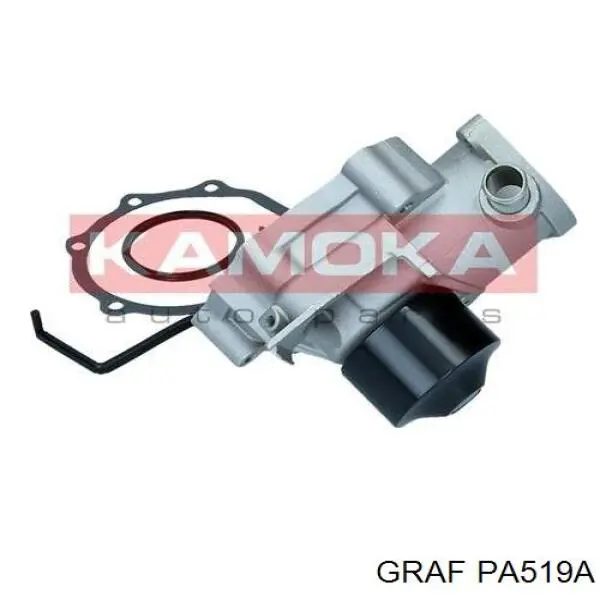PA519A Graf Насос охолодження