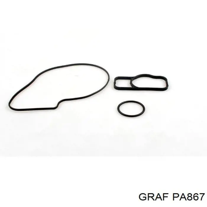 Водяний насос Graf PA867