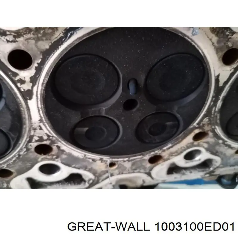  Great Wall 1003100ED01 ціна, від 687.22 USD