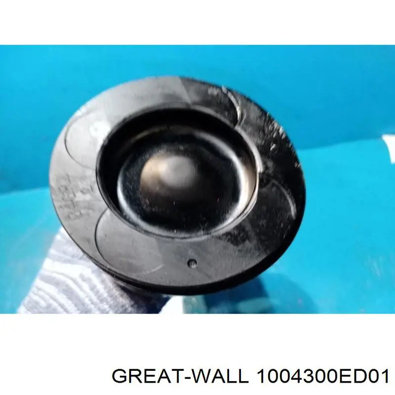 Купити 1004300ED01 Great Wall 