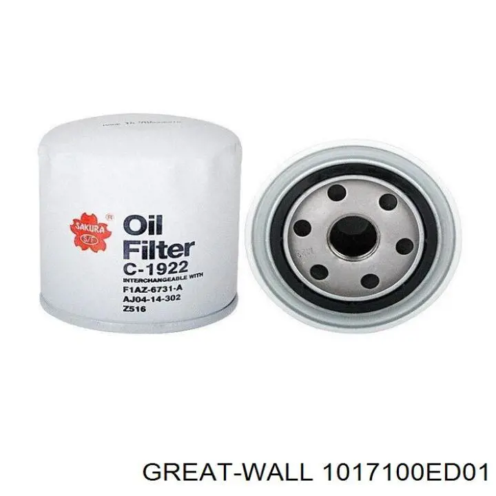 1017100ED01 Great Wall Фільтр масла