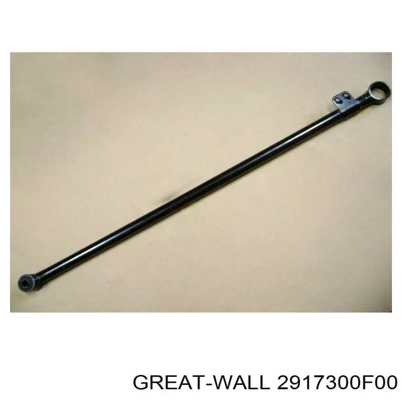 2917300F00 Great Wall 