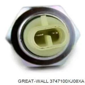 3747100XJ08XA Great Wall 
