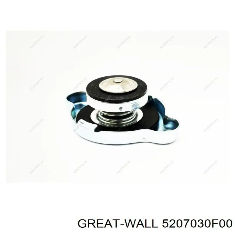 5207030F00 Great Wall 