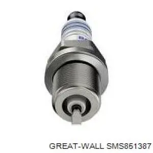 Свічки Great Wall Hover 