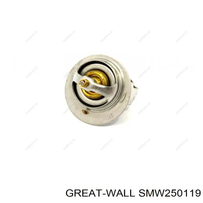 Термодатчик охолоджуючої рідини Great Wall SMW250119 ціна, від 2.53 USD
