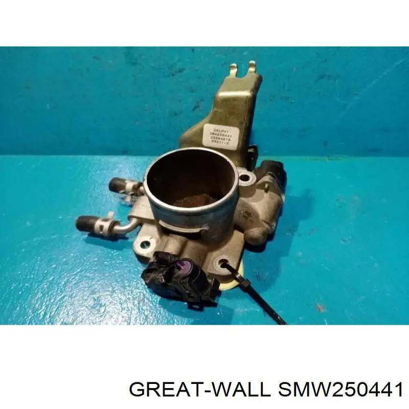  SMW250441 Great Wall