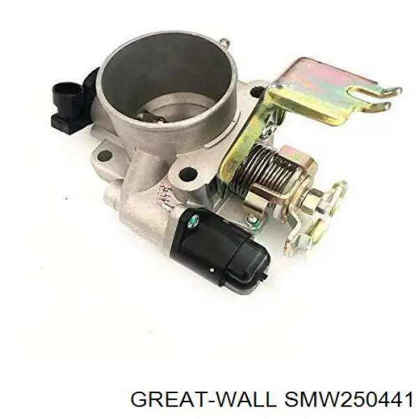 SMW250441 Great Wall 