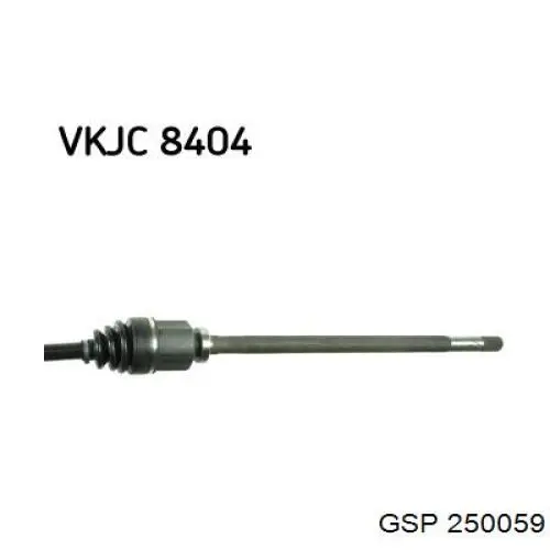 Купити G21020PC Pascal Піввісь права